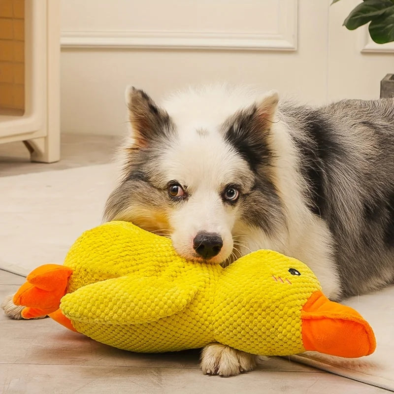 Squeaky Plush Toy for Dogs